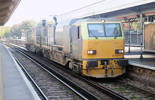 Sutton