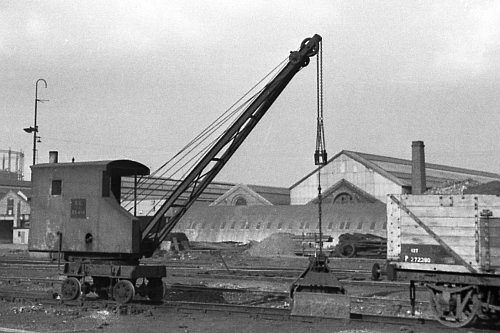 Crane