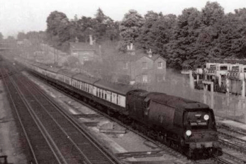 Royal Wessex