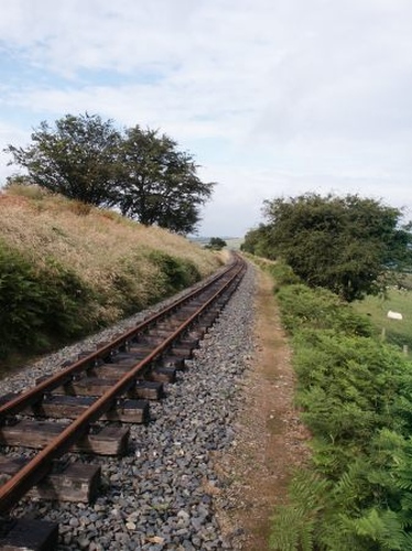 Track south