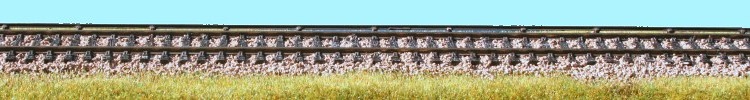 Image of 4mm scale conductor rail